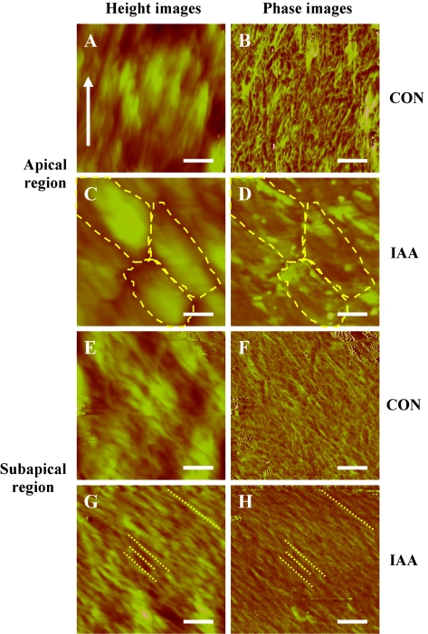 Fig. 8.