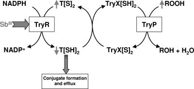 FIG. 5.