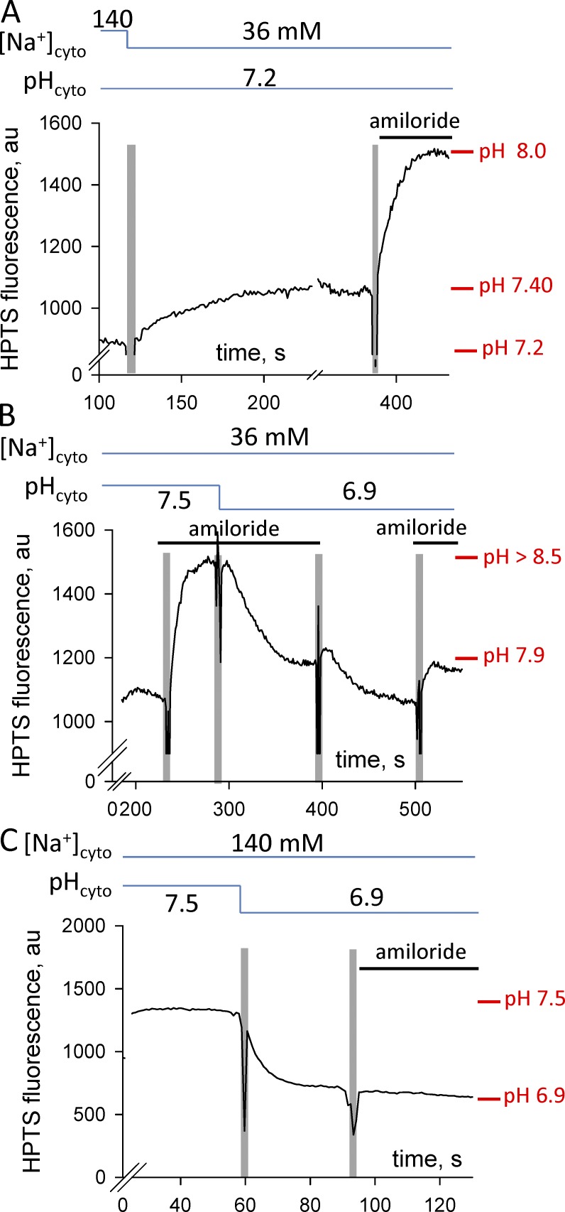 Figure 6.