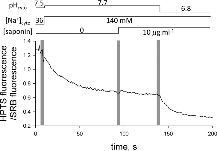 Figure 5.