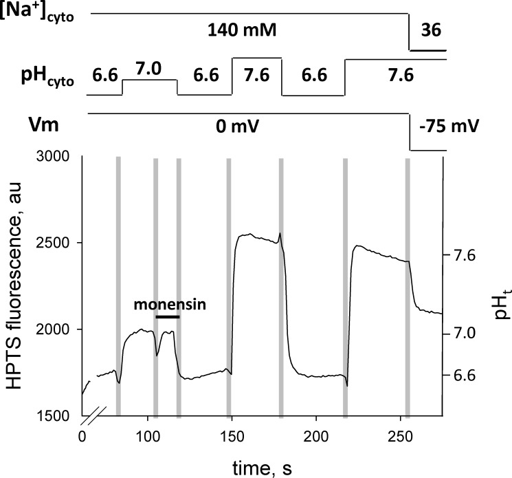 Figure 7.