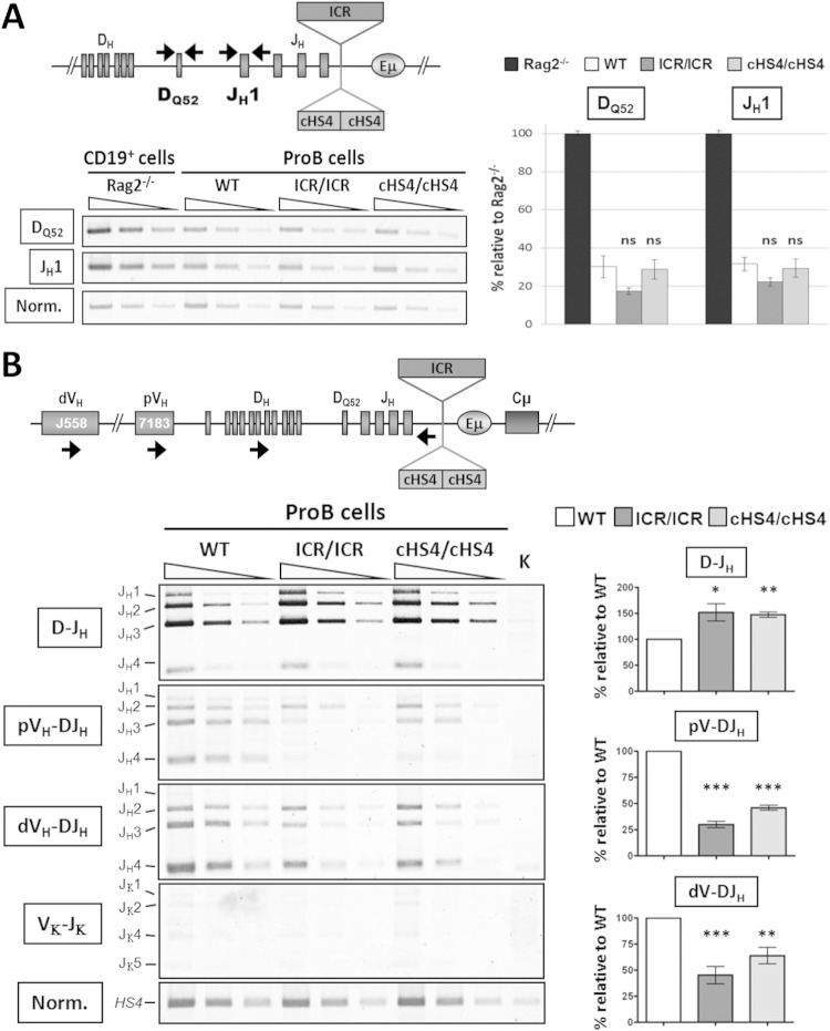 FIG 2