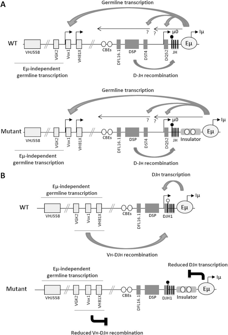 FIG 8