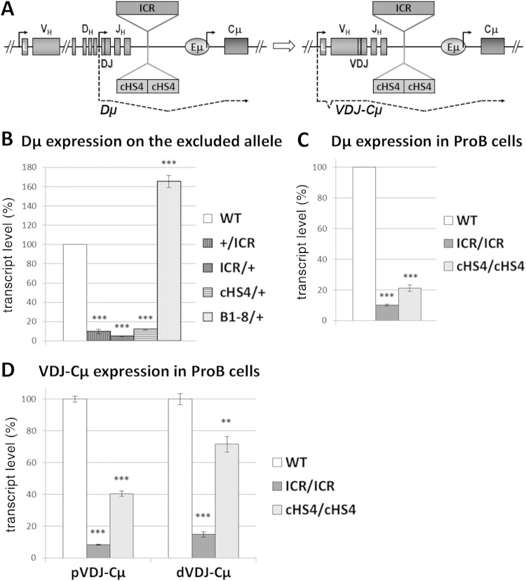 FIG 6