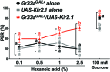 Figure 7—figure supplement 2.