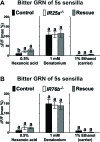 Figure 6—figure supplement 1.