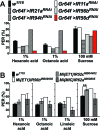 Figure 5—figure supplement 1.