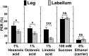 Figure 1—figure supplement 1.