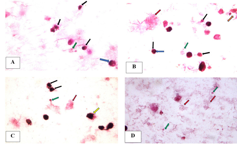 Figure 7