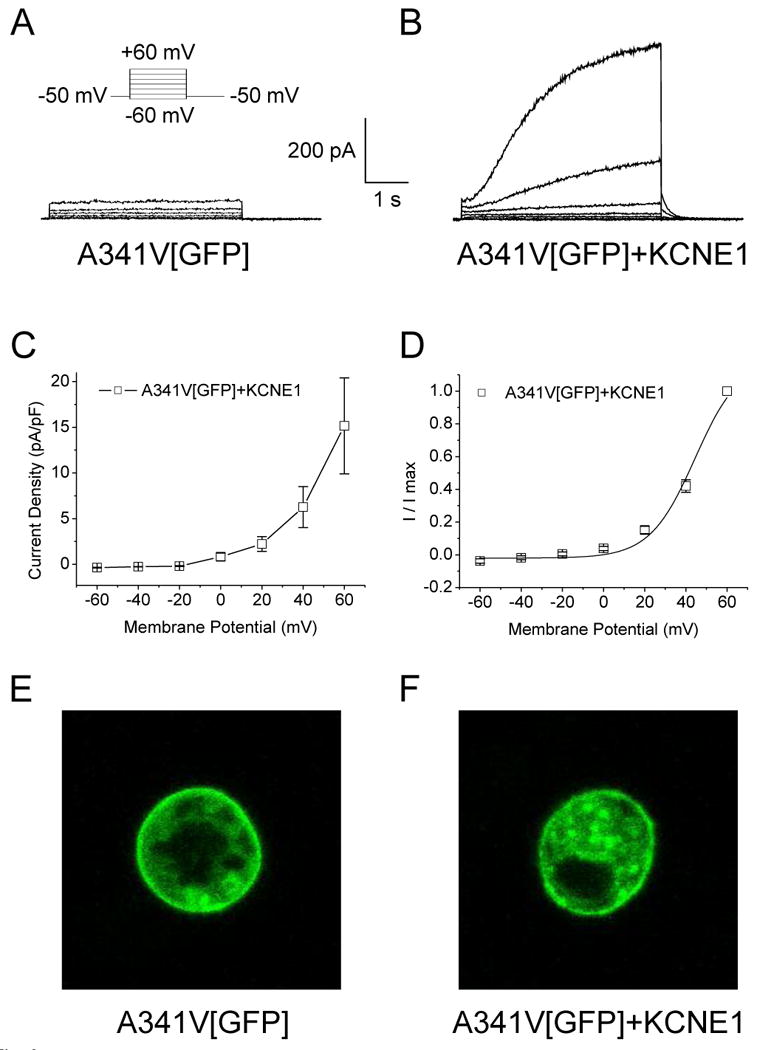 Fig. 3