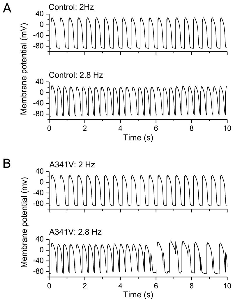 Fig. 6