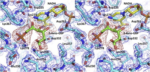 Figure 4