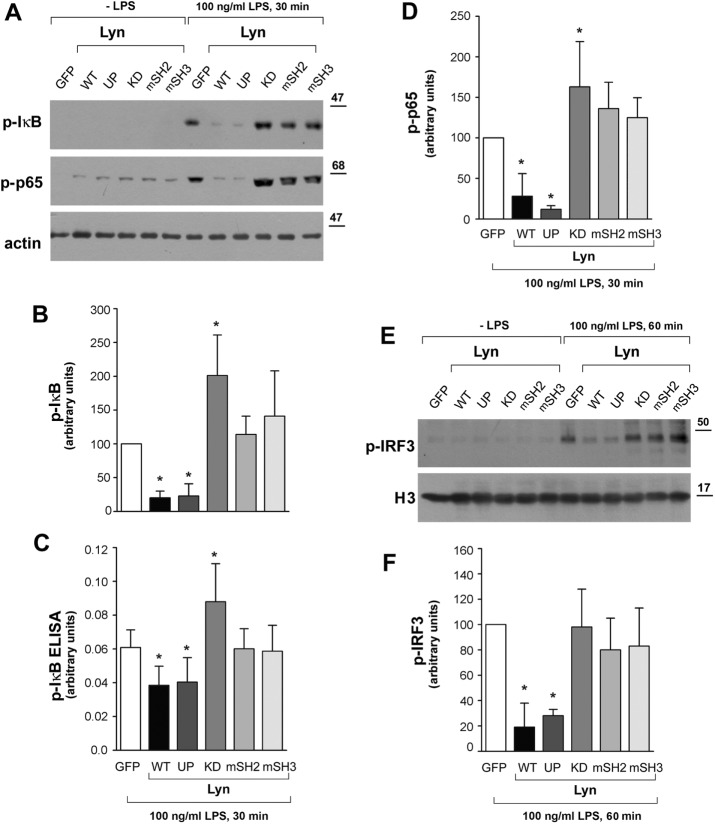 FIGURE 7: