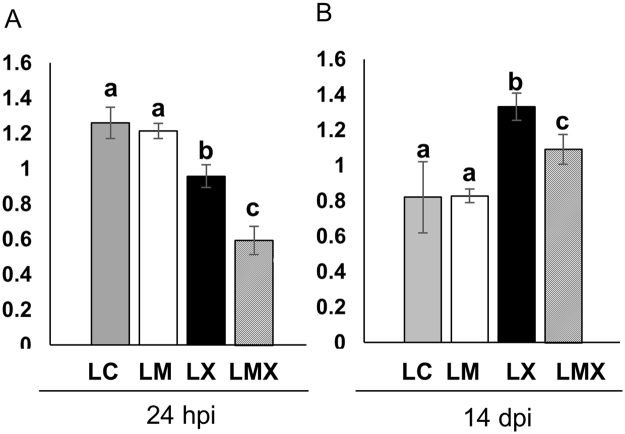 Figure 7