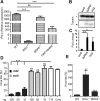 FIG 3