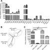 FIG 2