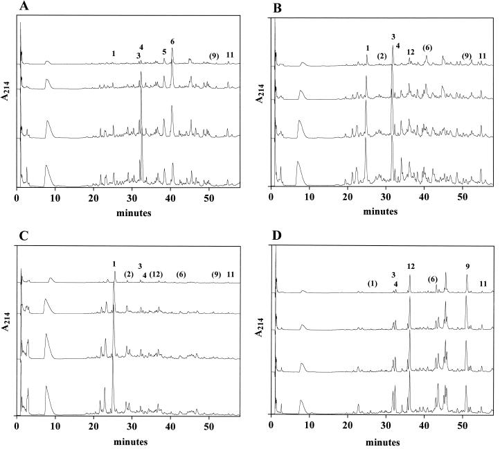 FIG. 2.