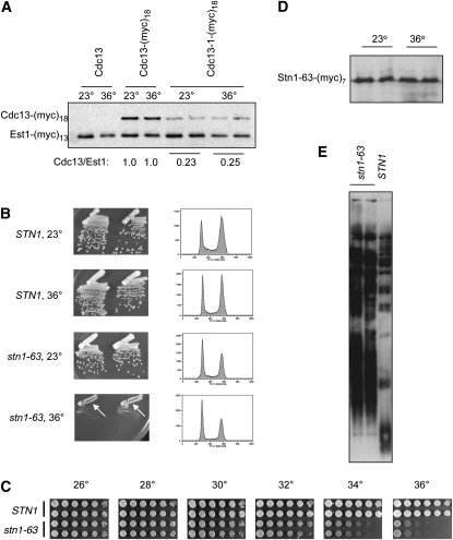 Figure 4 