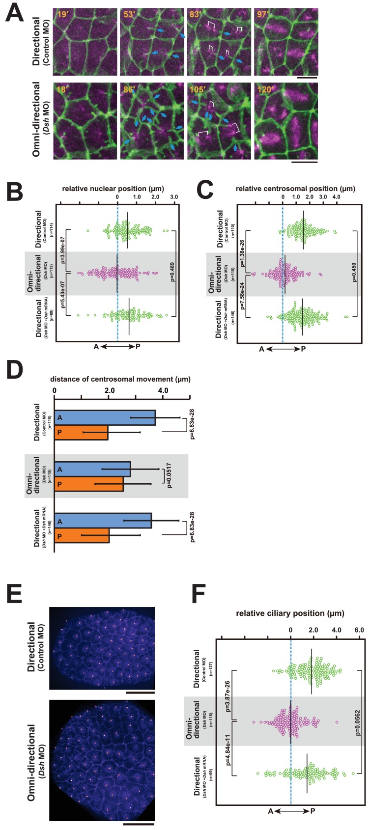 Figure 10.