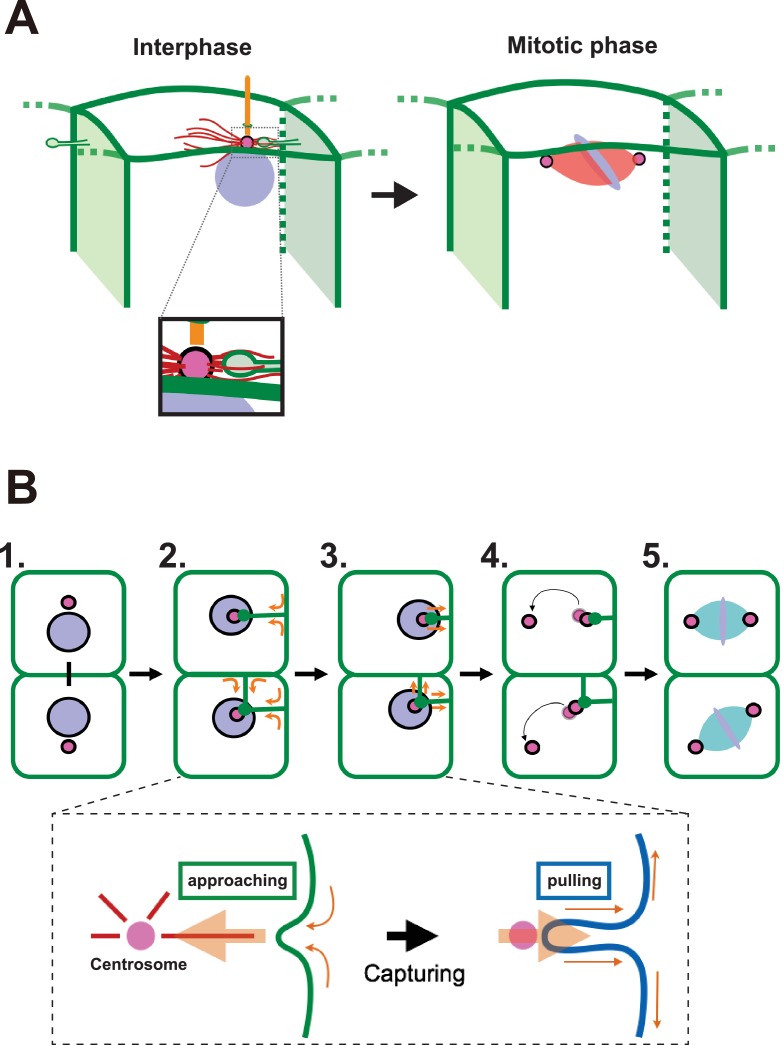 Figure 11.