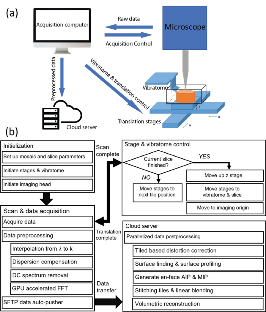 Figure 1: