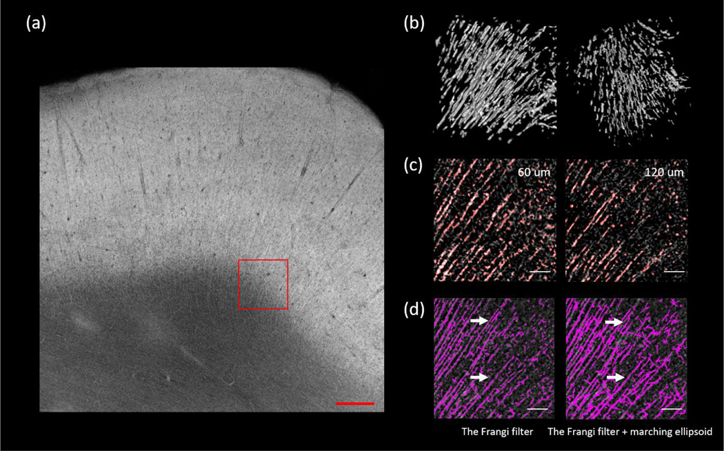 Figure 7: