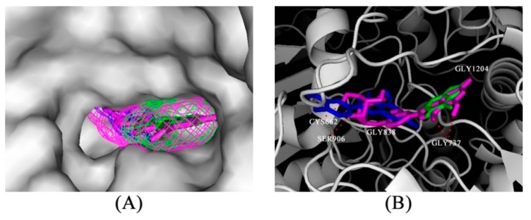 Figure 6