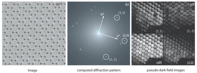 Fig. 3