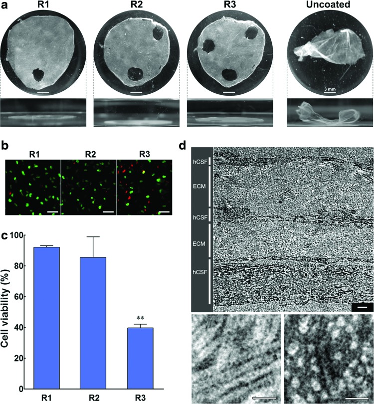 FIG. 10.