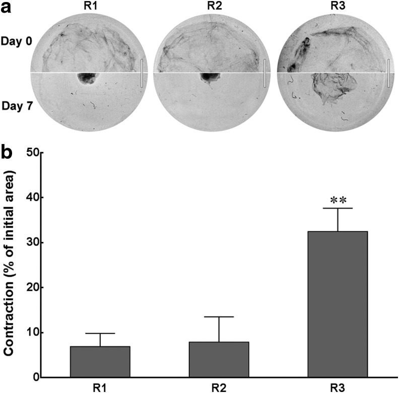 FIG. 11.