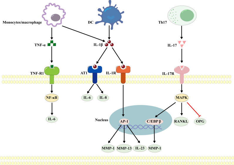 Fig. 2