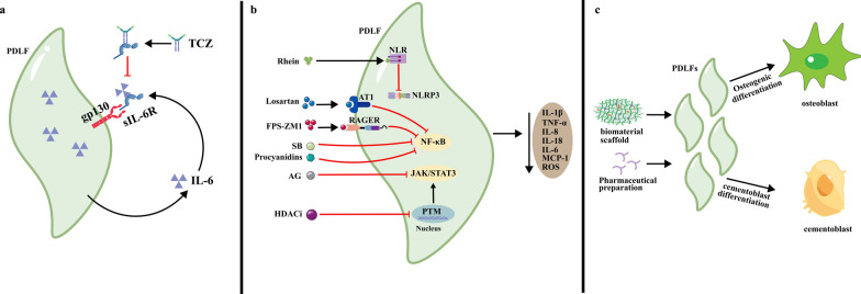 Fig. 4