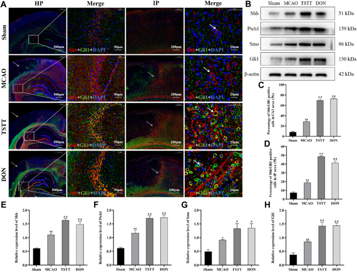 FIGURE 6