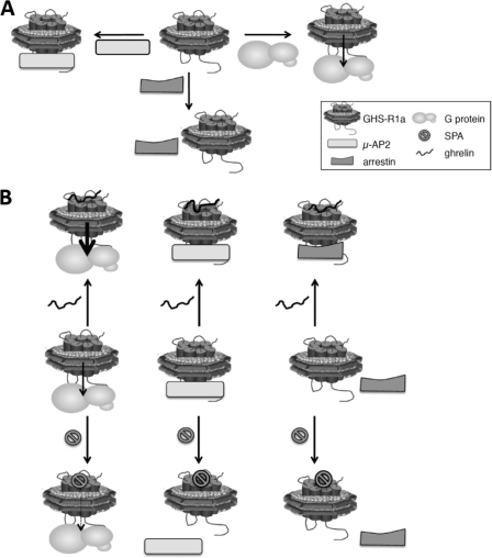 FIGURE 7.