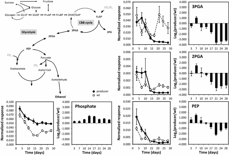 Fig. 4