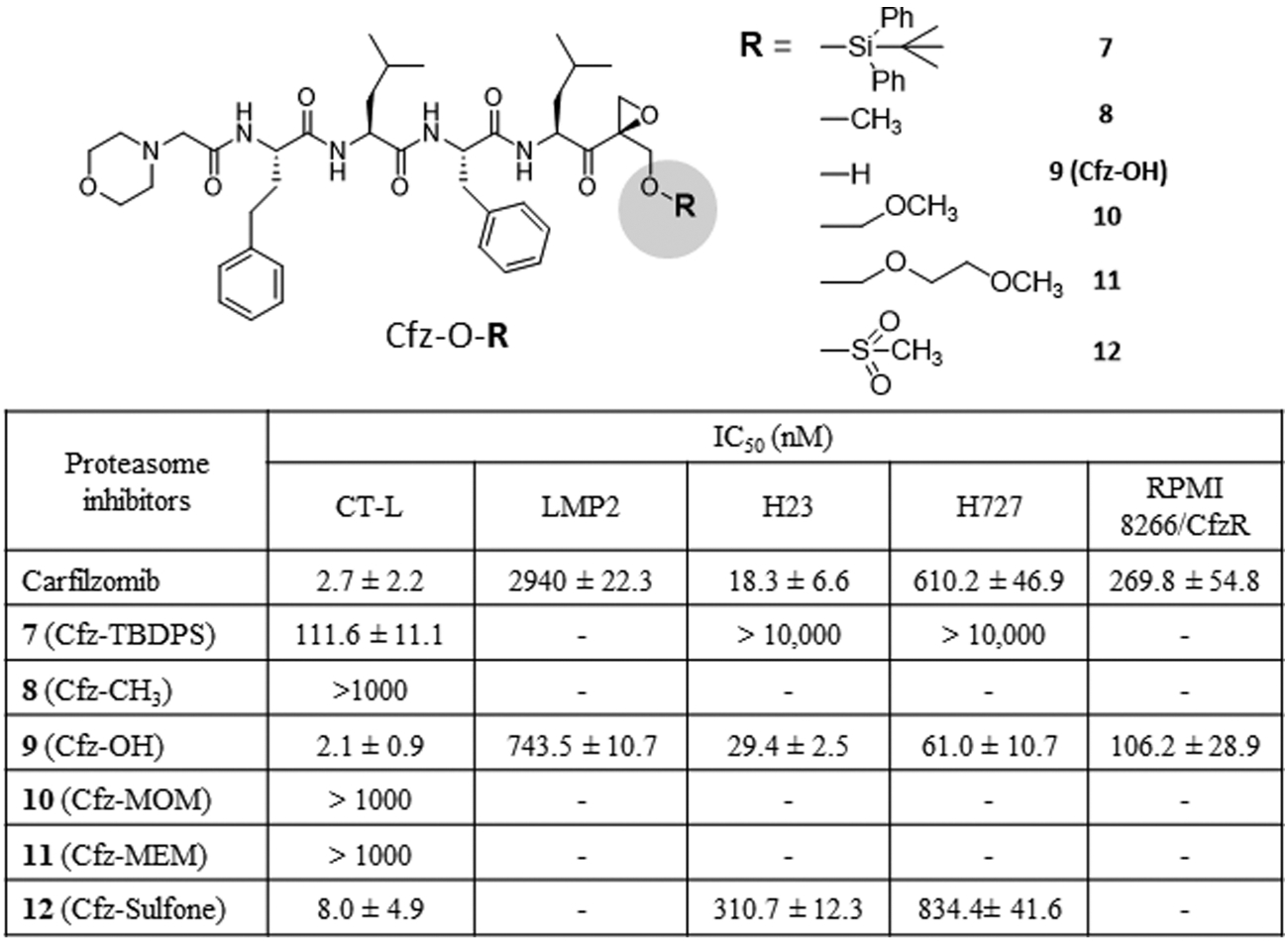 Figure 7.