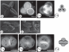 Fig. 2.