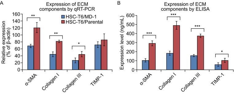 Figure 5