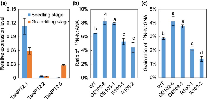 Figure 7