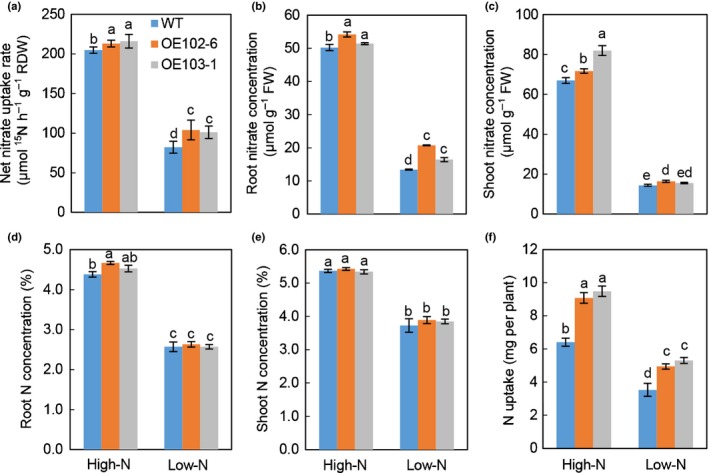 Figure 6