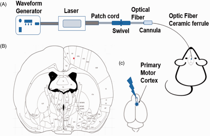 Figure 2.