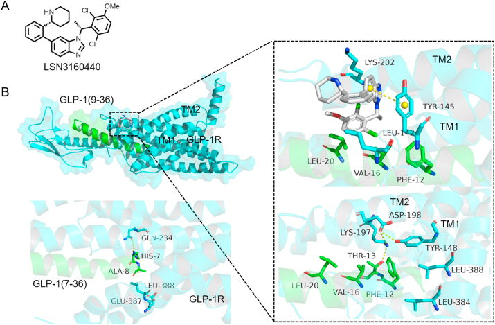 Figure 12