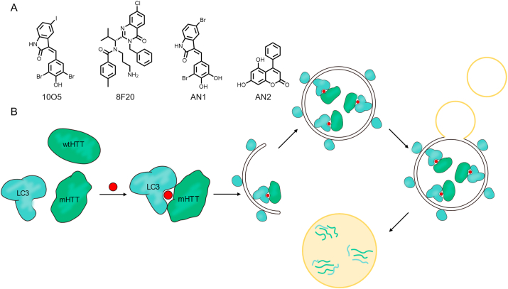 Figure 11