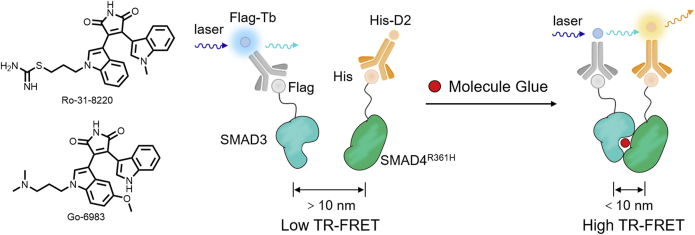 Figure 15