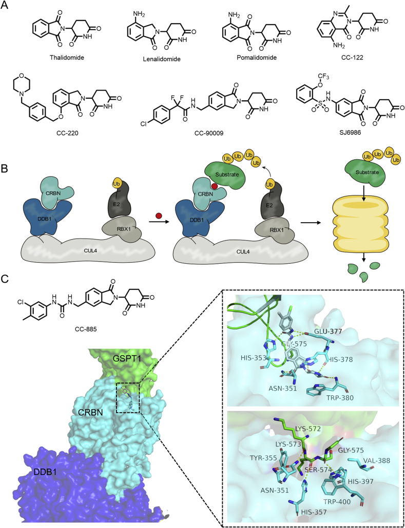 Figure 7