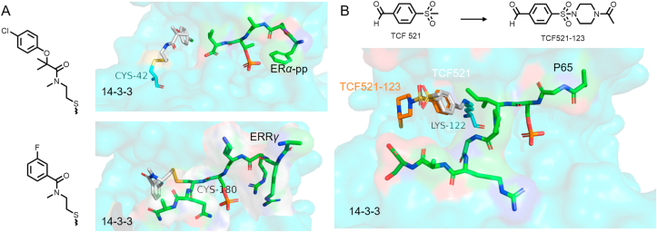 Figure 13