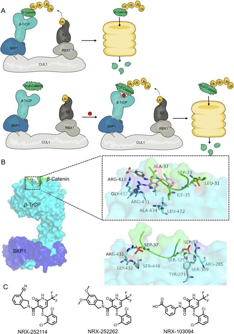 Figure 10