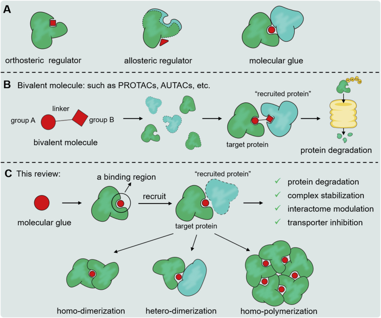 Figure 1