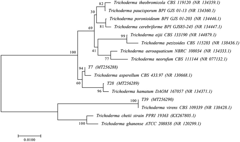 Figure 1.