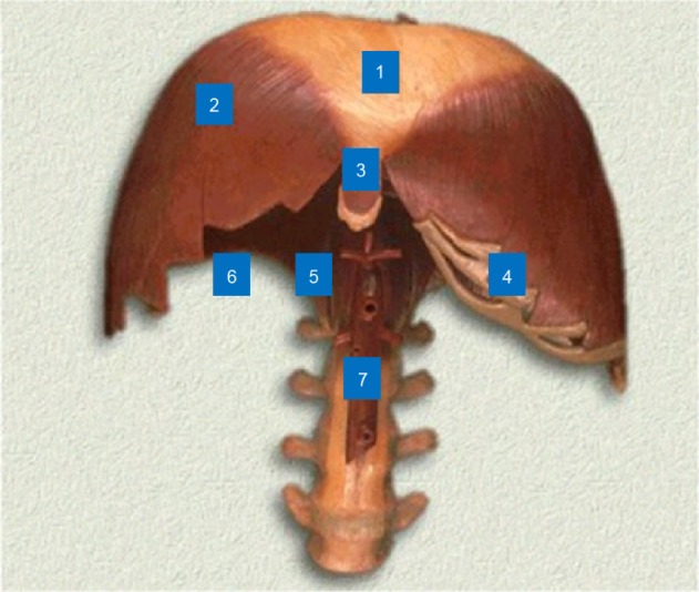 Figure 8